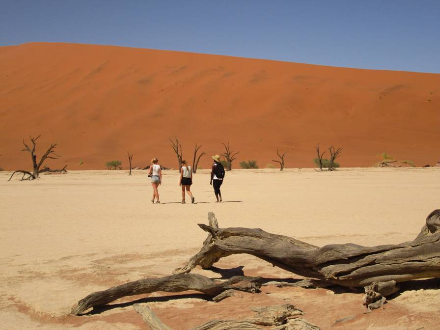 im Dead Vlei / Namib-Naukluft Nationalpark